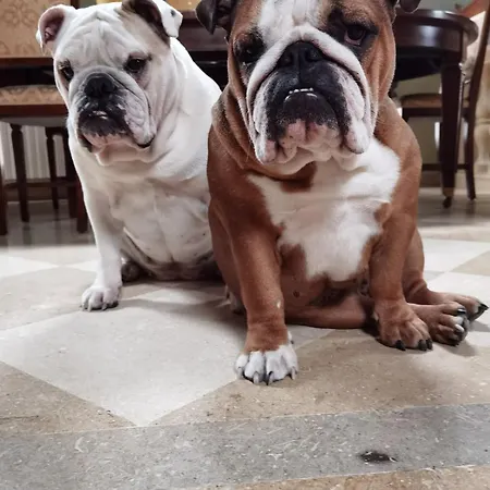 아파트 Experience A Historic - Palazzo Terzano *