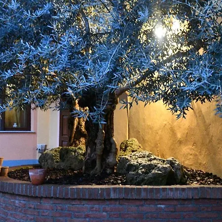 아파트 Experience A Historic - Palazzo Terzano *